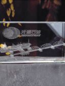 JSW-2032